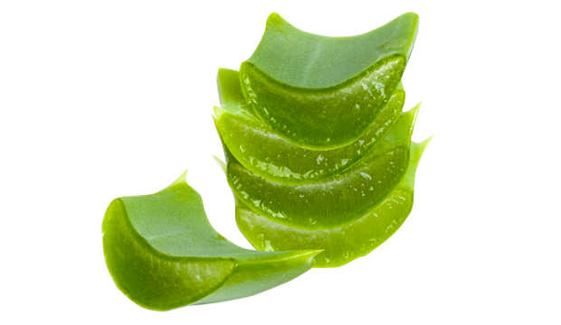 Aloe Vera Aloe Barbadensis Leaf Juice skincare ingredient iS Clinical