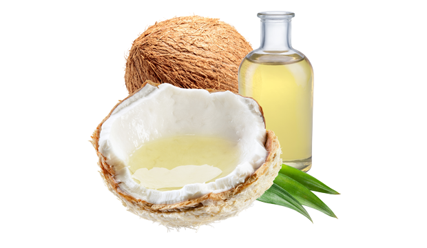 Coconut oil Cocos Nucifera skincare ingredient iS Clinical
