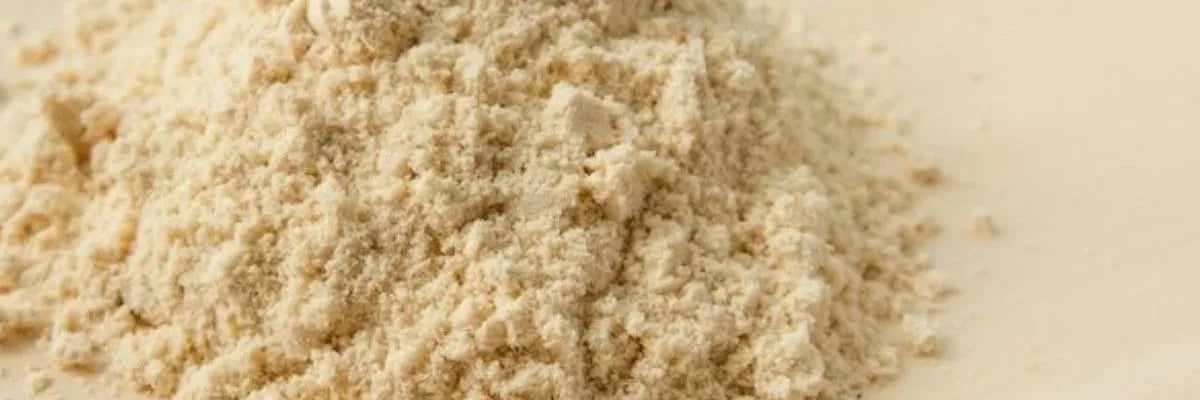 Close-up of beige hydrolysed rice protein powder on a light surface