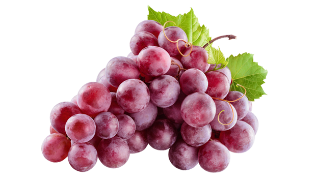 Key Skincare Ingredient: Resveratrol