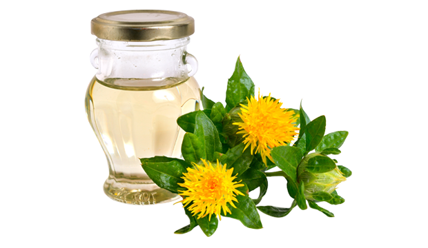 Key Skincare Ingredient: Safflower Oil
