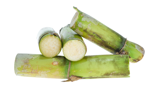 Key Skincare Ingredient: Sugarcane