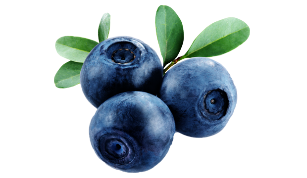 iS Clinical Skincare Products Containing Bilberry Fruit Leaf Extract
