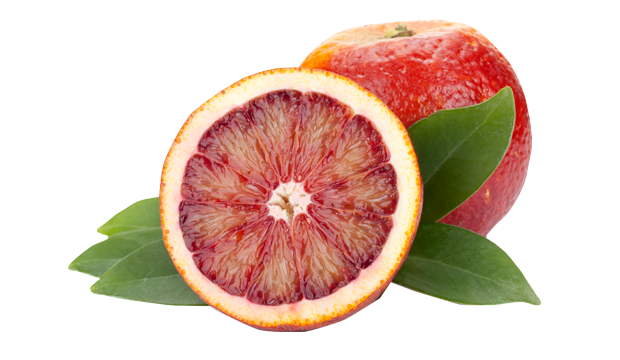 iS Clinical Skincare Products containing Brazillian Blood Orange