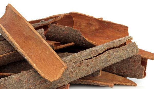Salix Alba (Willow Bark Extract)