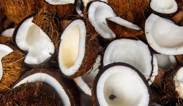 Coconut Oil